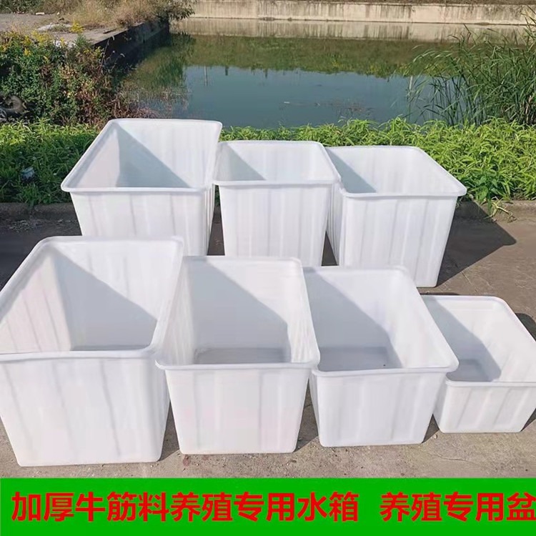 厂家直供养鱼养龟塑料方箱 牛筋方盆 塑胶方箱 塑料方箱价格合理图片