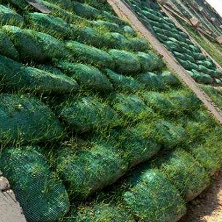 抗洪防灾生态护坡袋 抗老化土工生态袋  绿祥定制图片