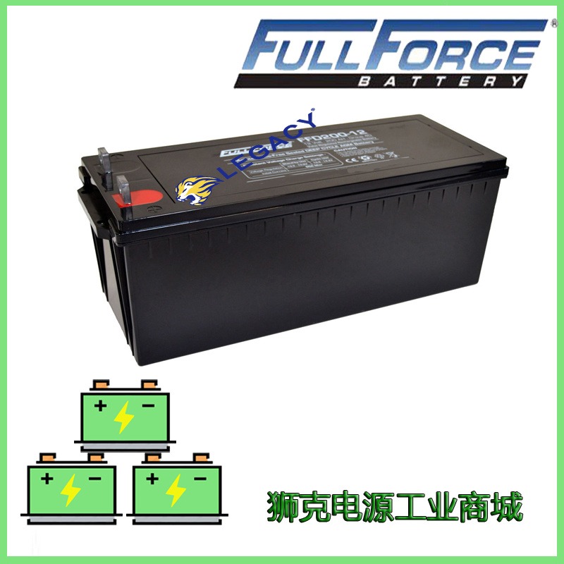 美国FULLFORCE蓄电池FFD200-12 12V200AH 深循环储能电源