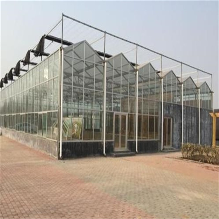 观光温室栽培架造价 玻璃保温大棚价格  旭航温室工程建设厂家