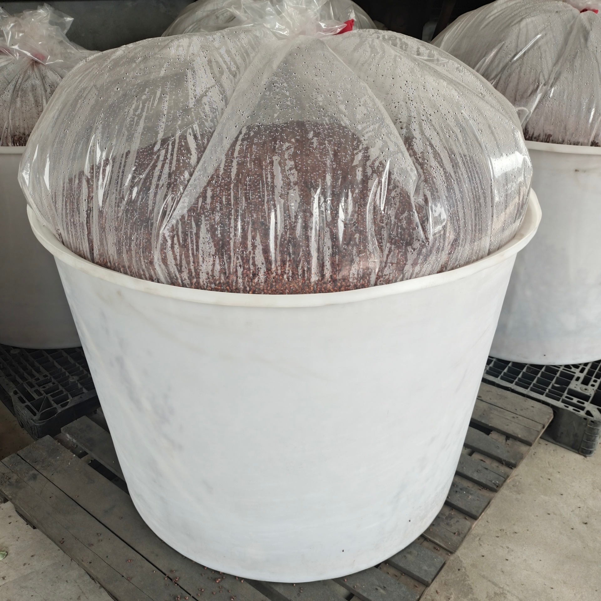 宁波1吨食品级圆形发酵桶 1000L圆形塑料桶