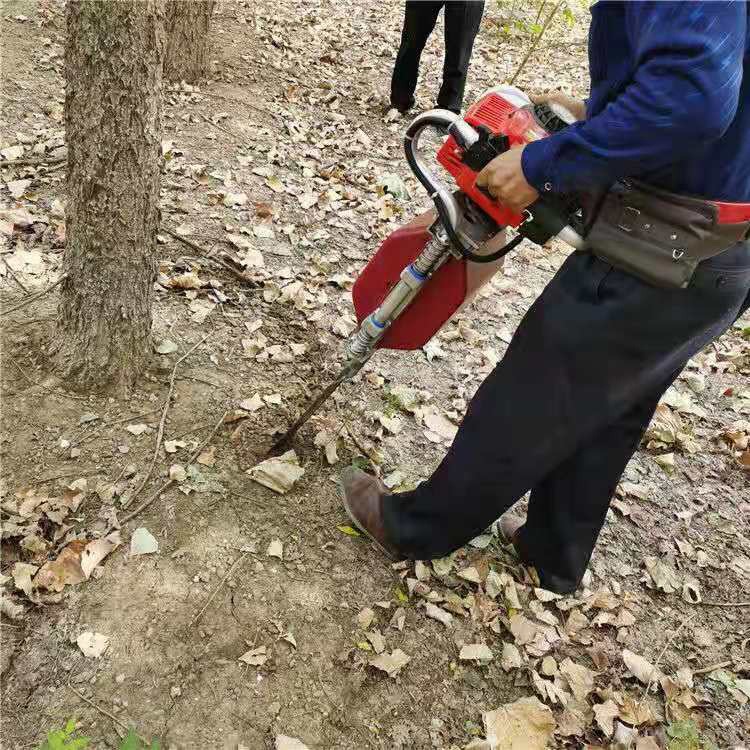 两冲程铲式挖树机 单人操作带土球挖树机 中铠汽油便携移苗机图片
