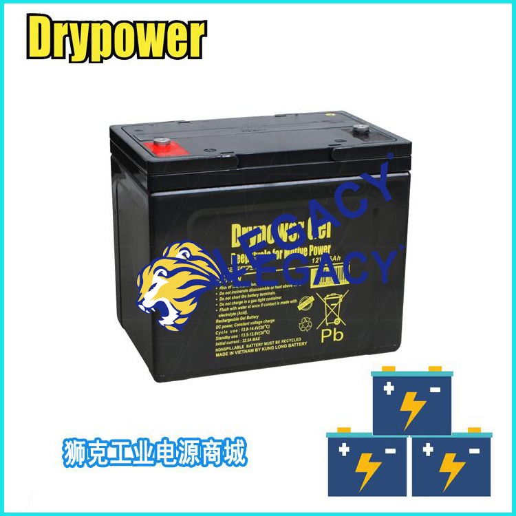 DRYPOWER蓄电池12SB65CL计算机系统 12V65AH直流屏UPS电源
