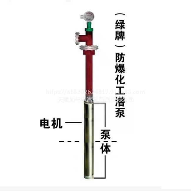 天津绿牌变频防爆化工潜泵适用地下罐160种化工介质