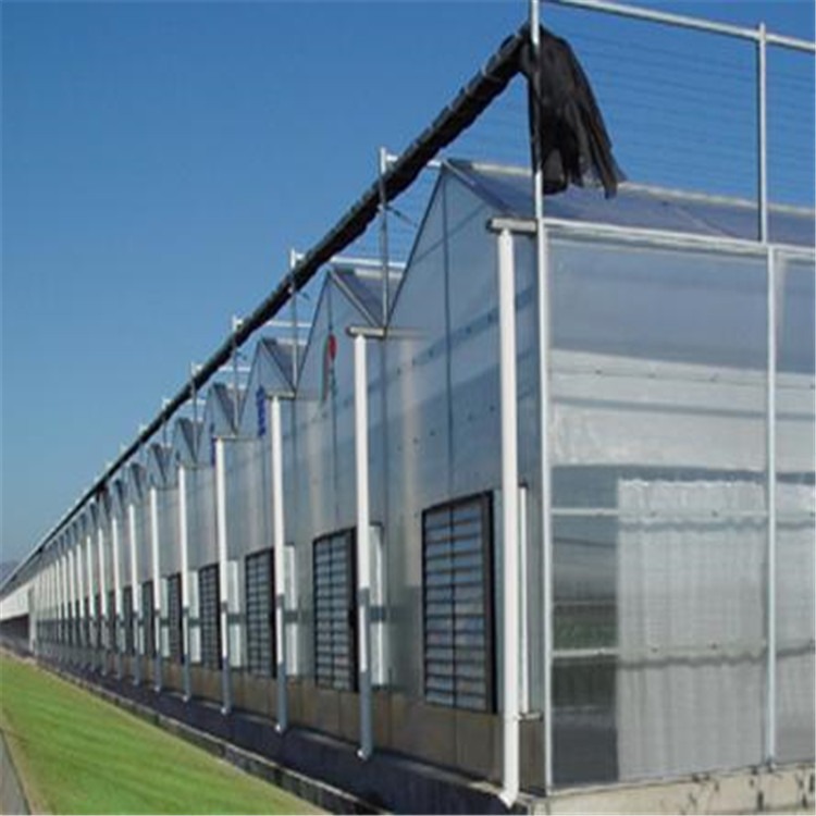 东营育苗温室制造工程 玻璃砖大棚公司  旭航温室