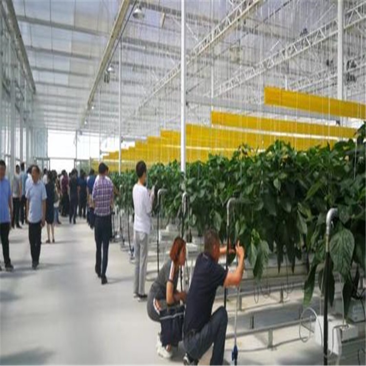 不锈钢植物园温室 玻璃圆形大棚造价旭航温室工程建设厂家
