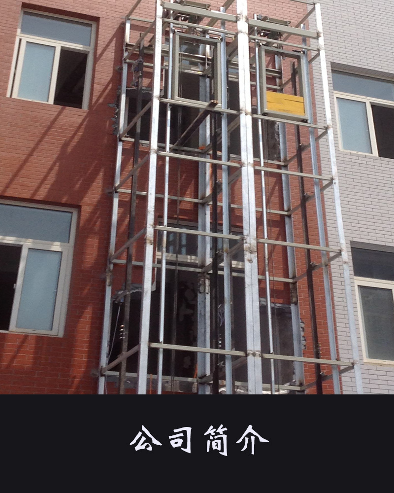 鲁鑫 南京现货SJCC0.3-6电动传菜机电梯示例图15