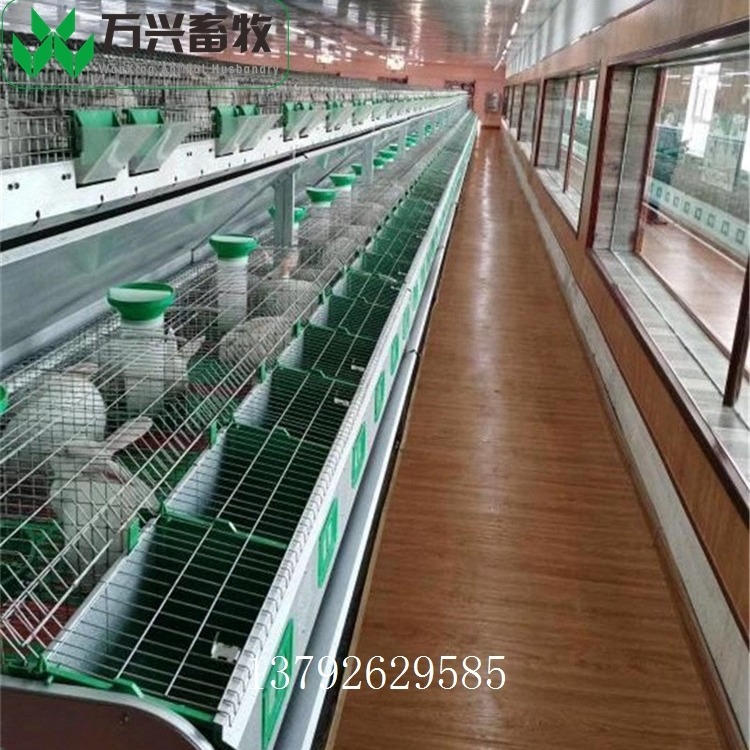 供应万兴畜牧兔舍兔场用双层子母兔繁殖笼 规格2340mm×2100mm