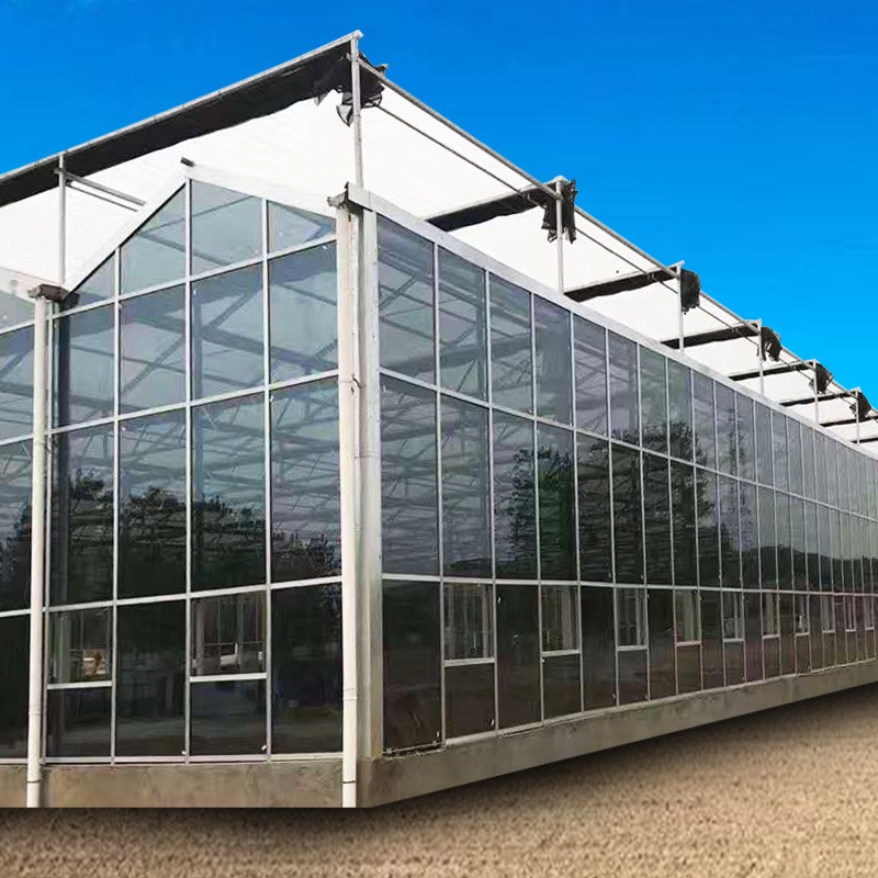 润隆农科 玻璃温室 荷兰玻璃温室 无土栽培 玻璃花卉温室 玻璃蔬菜温室图片