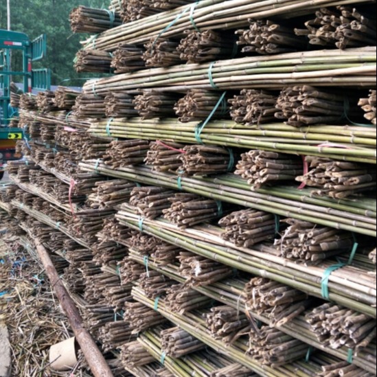 货源地常年批发果树绿化支撑竹竿 农用搭架大棚竹杆 菜架竹
