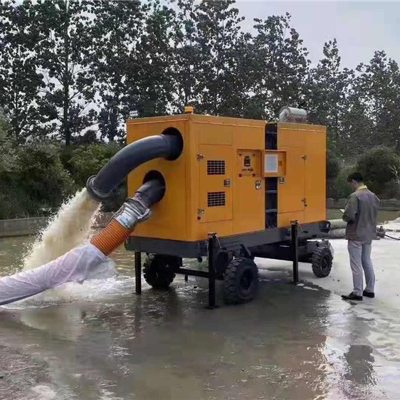 500立方柴油自吸水泵图片