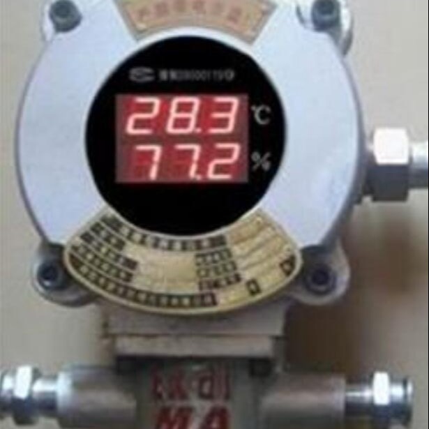 隔爆型温湿度记录仪型号:NA511-BWSJ158库号：M385631