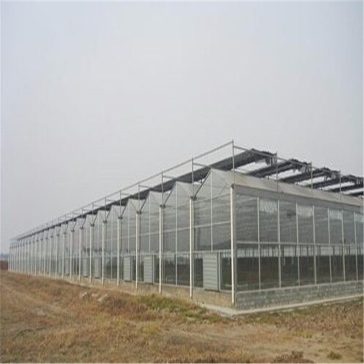 旭航pc阳光板温室大棚建造价格 河南诺博温室公司