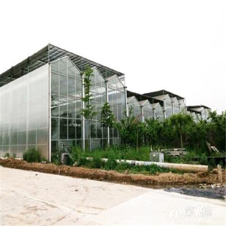 襄阳现代化花卉温室 建造姜大棚的厂家  旭航