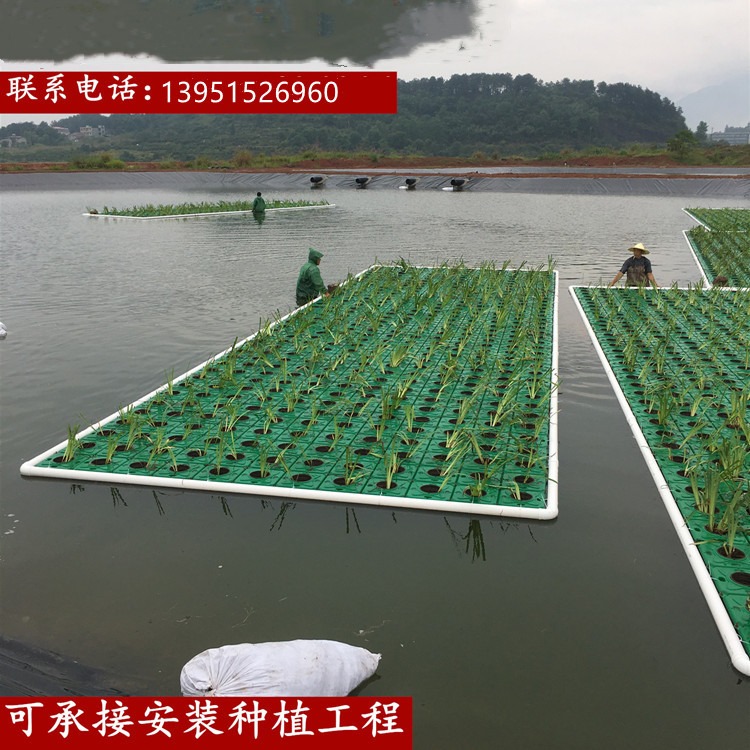 人工浮岛浮盘批发水上植物种植水面绿化水上生态浮床价格生态浮岛生物浮床