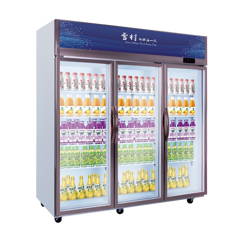 雪村冷藏饮料展示柜单门啤酒商用保鲜冰柜超市立式大容量两门冰箱图片