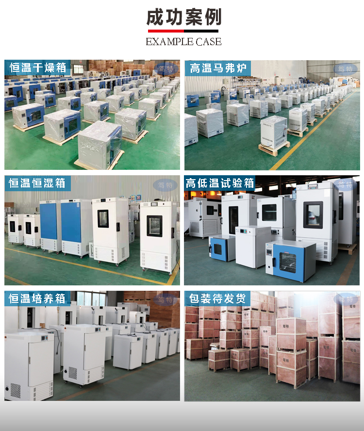 上海笃特生产HSP-150HC实验室恒温恒湿环境试验箱恒温恒湿培养箱示例图9