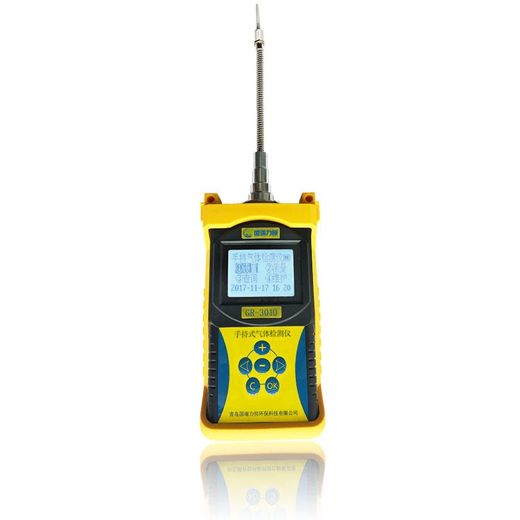 国瑞力恒 手持式气体检测仪 防爆VOCs检测仪 可选传感器 GR3010