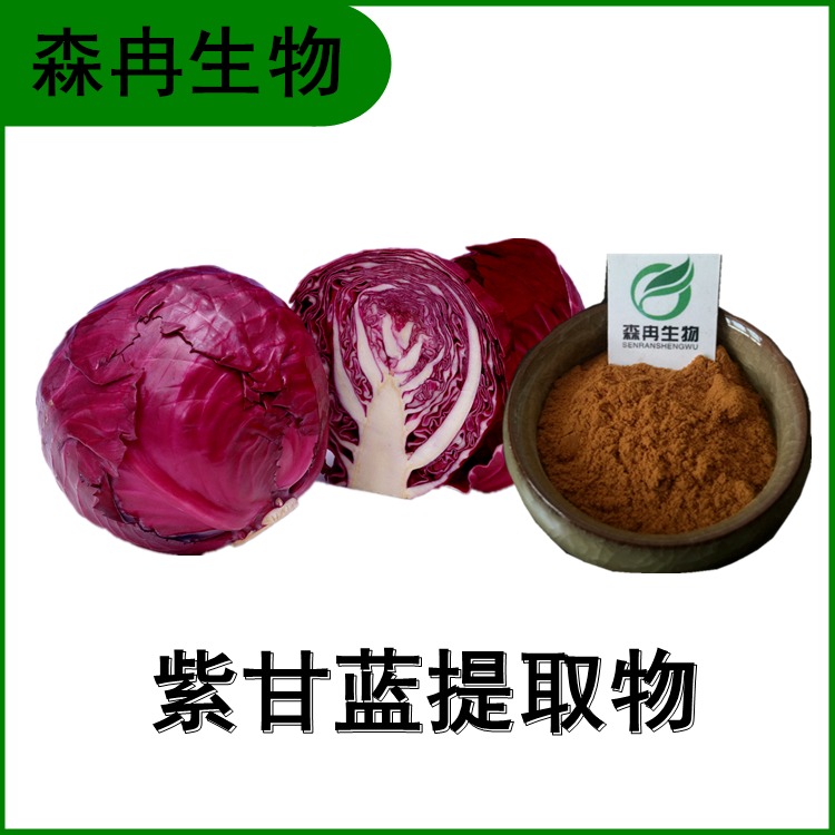 紫甘菜提取物 紫包菜粉 高倍浓缩粉 水溶性 多种规格