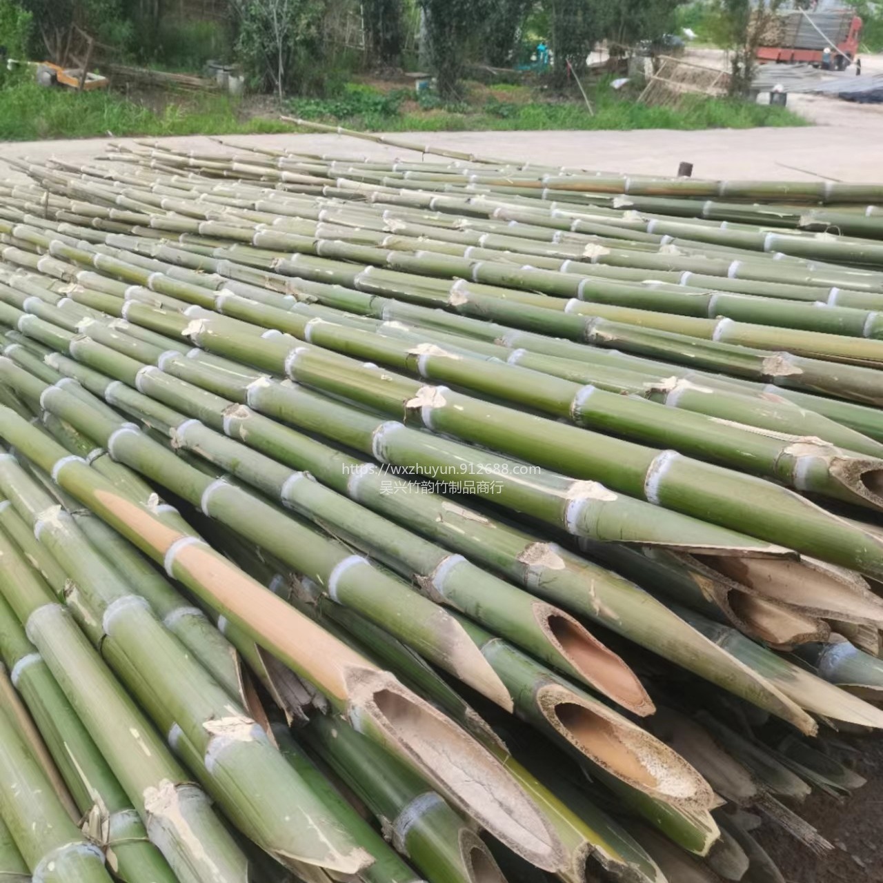 附近店铺发货 树木支撑杆促销 园林绿化竹棍