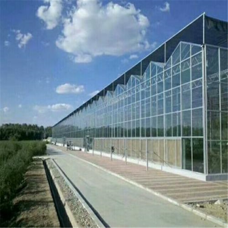 日光温室大棚棚膜施工方案 天然的玻璃温室大棚 旭航温室大棚建设