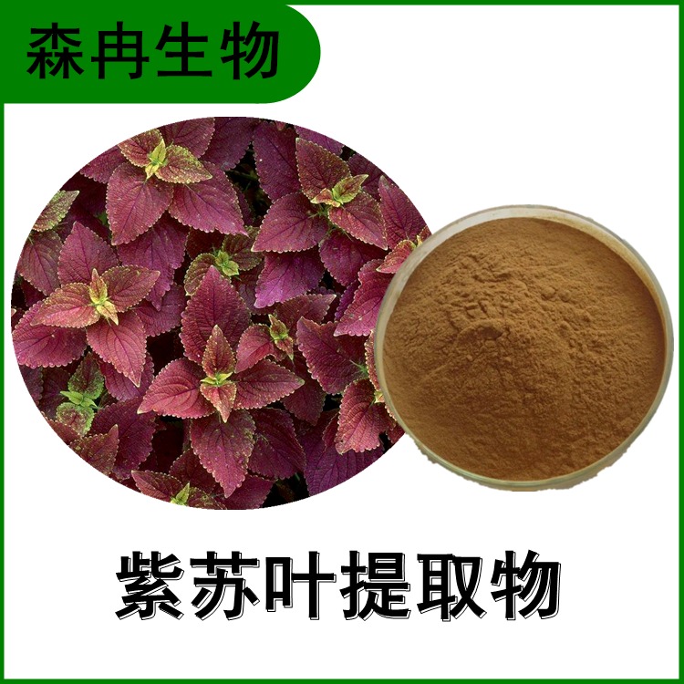 紫苏叶提取物10:1 紫苏叶浓缩粉 喷雾干燥 比例提取