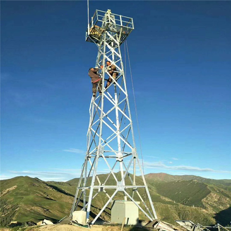 泰翔设计生产5米-100米环保监测塔 森林监控塔 监控立杆厂家 质保30年