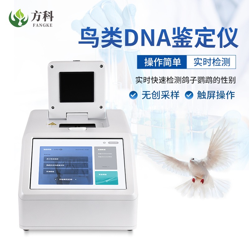 鸽子DNA鉴定仪 鸟类雌雄鉴别仪器 鸽子公母检测仪