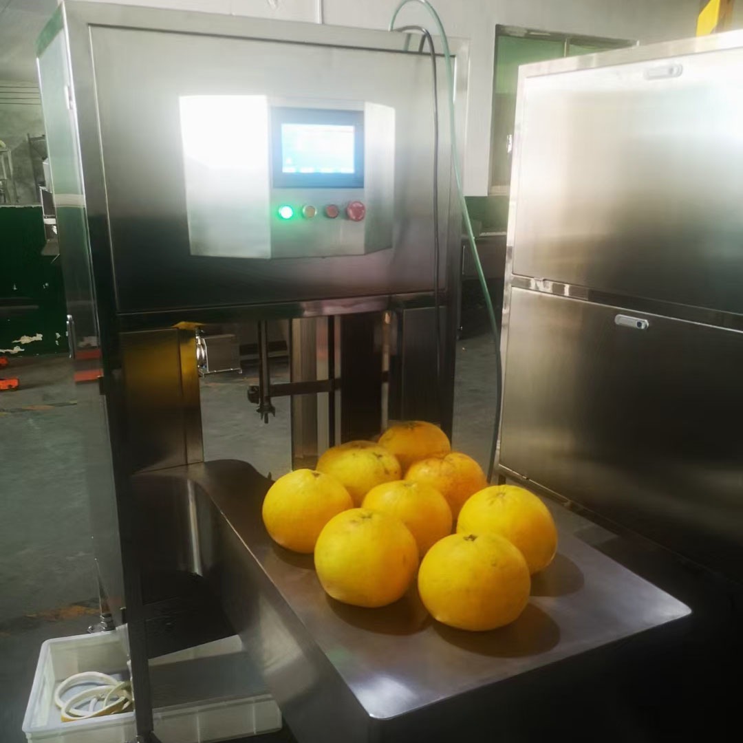 广州达桥工业型柚子沙田柚自动削皮机去皮机柚子生产线水果茶原料