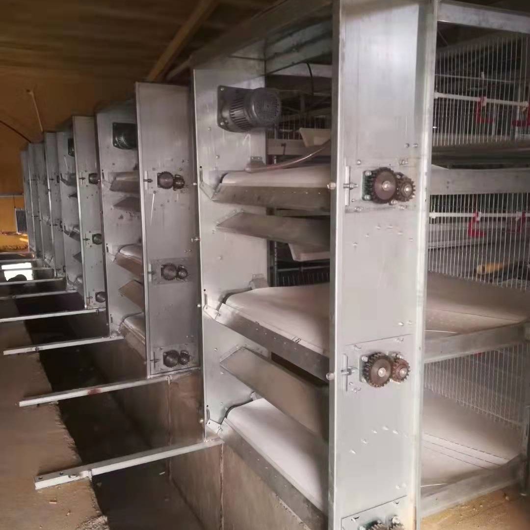 信必达 畜牧养殖专用清粪机 刮板式鸡舍清粪机 牵引式清粪机