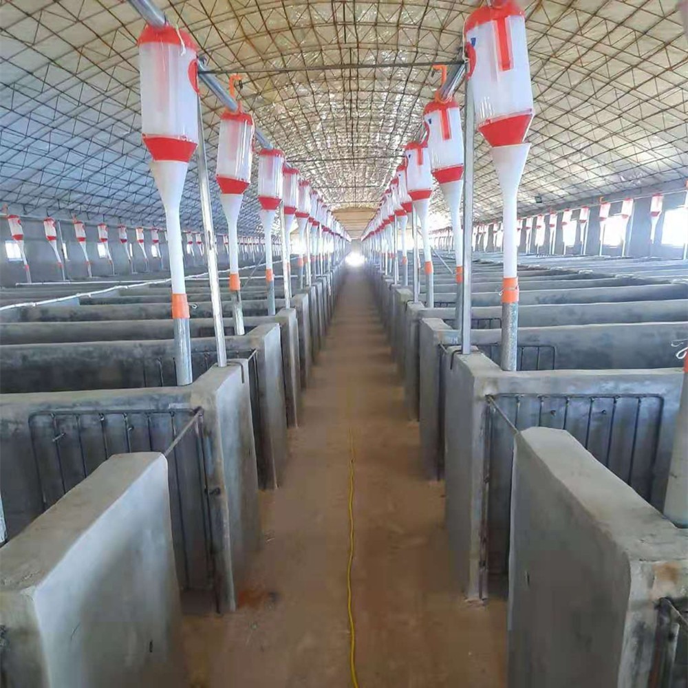 世昌畜牧sc育肥猪场自动化喂料线安装厂家