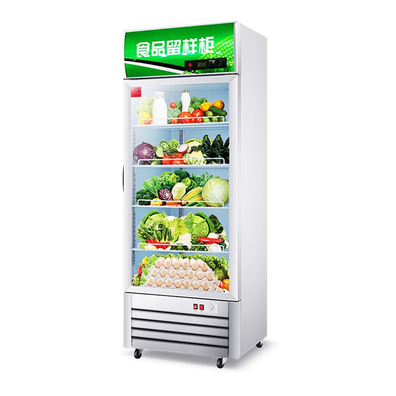幼儿园食品留样柜 食堂饭菜留样冰箱 水果冷藏展示柜 家用蔬菜保鲜柜