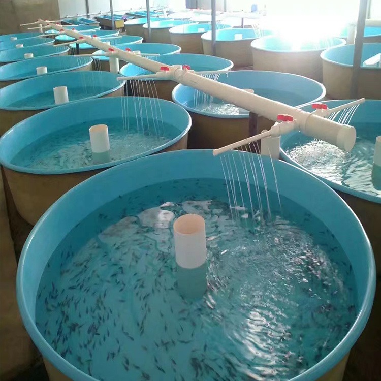 腾广制造 玻璃钢接水槽 养殖鱼孵化池水槽 幼鱼饲育池锦鲤养殖池 鱼苗池图片