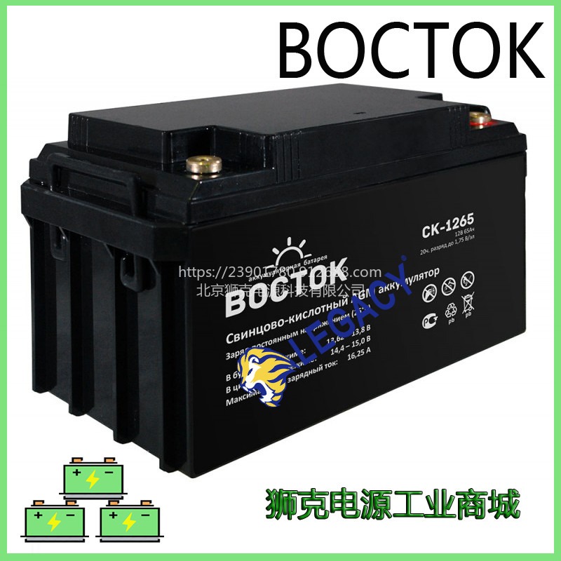 俄罗斯BOCTOK蓄电池CK-1233机房铅酸免维护储能应急电源12V33ah太阳能贮电系统电瓶