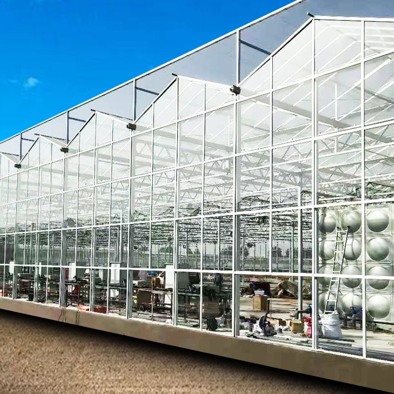 润隆农业 玻璃大棚 玻璃大棚设计 东北玻璃温室 南方玻璃温室