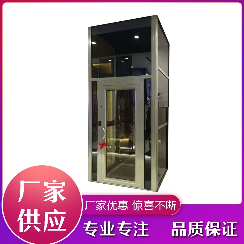 定制  家用电梯 力贝尔小型电梯  简易观光室内外电梯    复式阁楼电梯  质优价廉