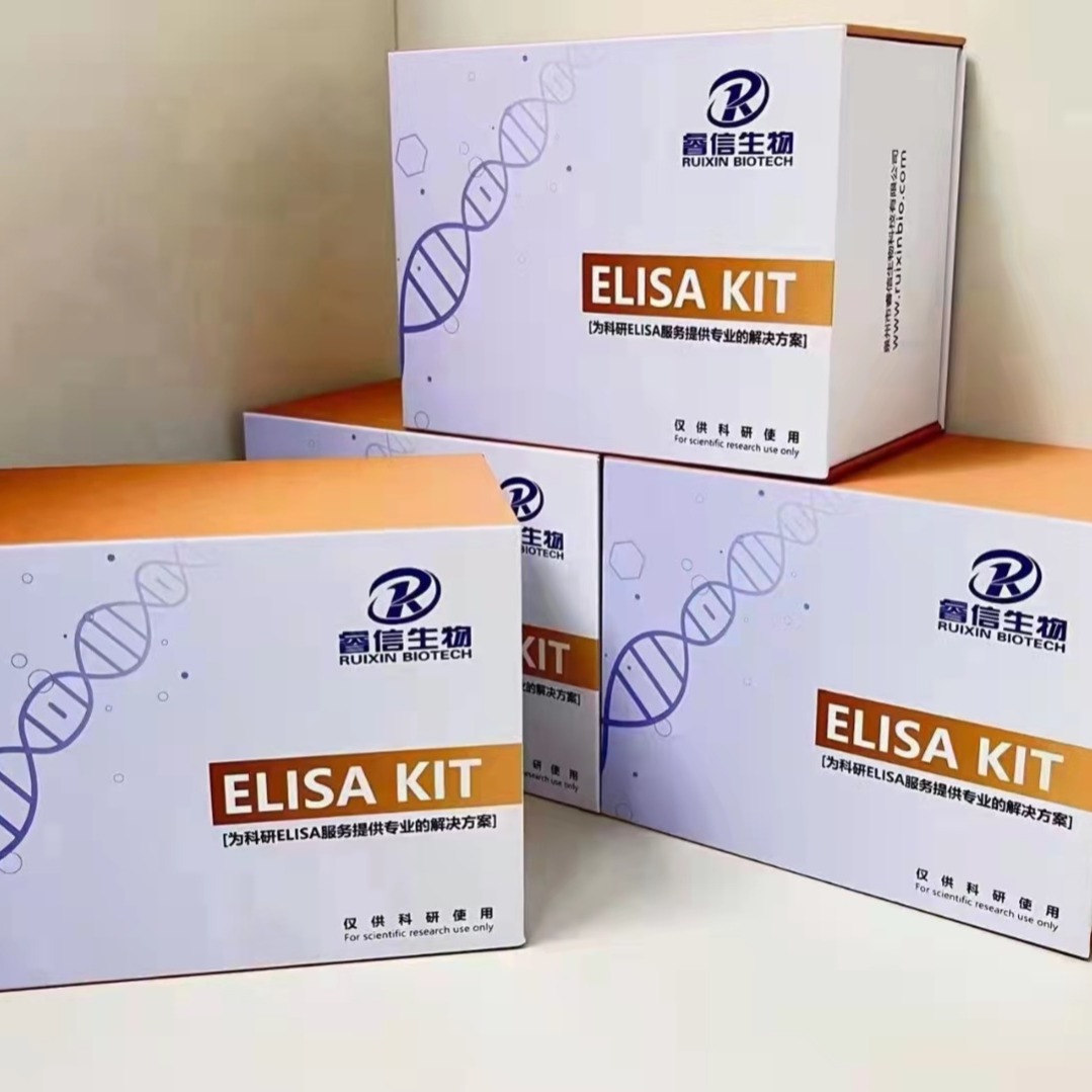 睿信生物 大鼠硝基还原酶 elisa试剂盒图片