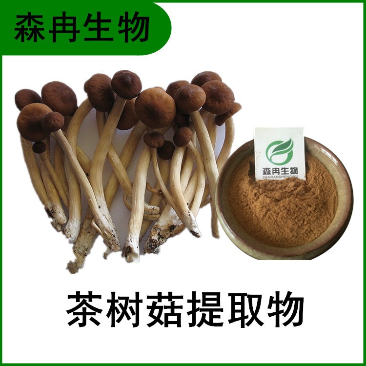 厂家直销 茶树菇提取物 茶树菇多糖 杨树菇提取物 全水溶 规格10:1 森冉生物图片