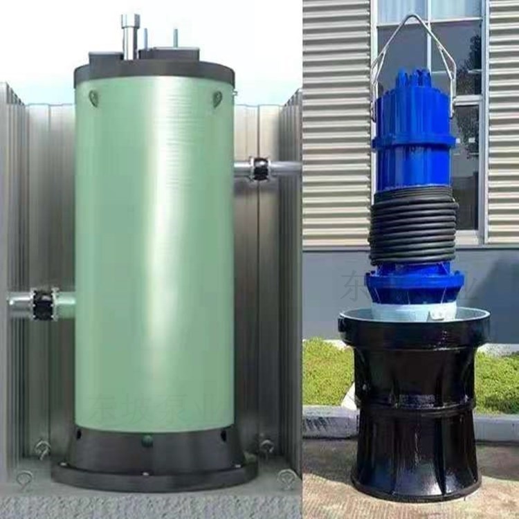 立式轴流泵 潜水电泵 雪橇式潜水轴流泵 移动排灌防汛潜水泵