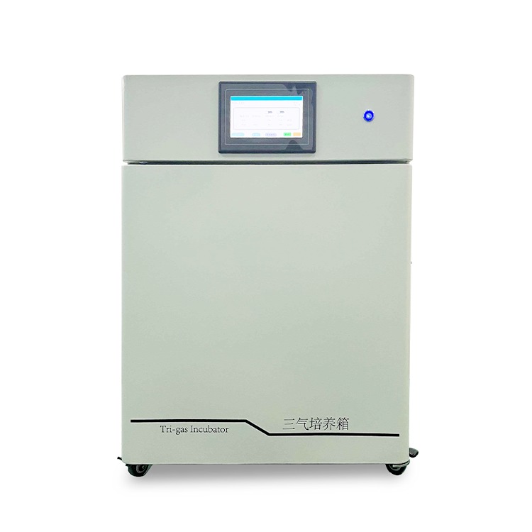 智能三气培养箱CYSQ-50-III 氧气氮气二氧化碳气体培养箱