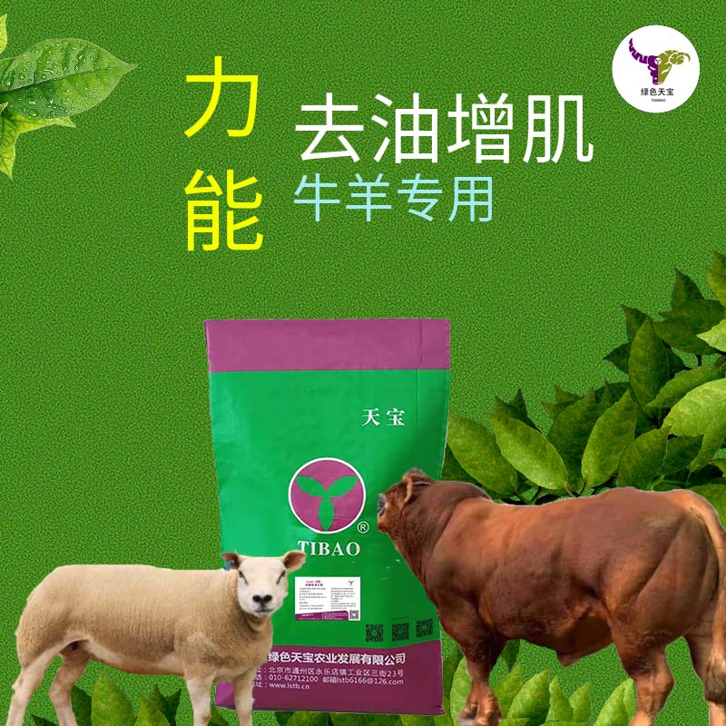 北京绿色天宝肉牛饲料肉羊去油增肌力能塑形增肌