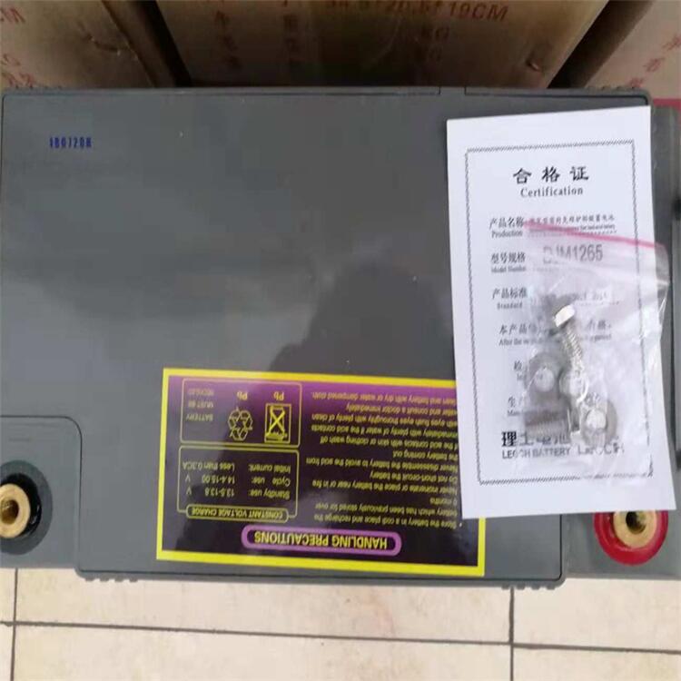 上海理士蓄电池机房专用电池DJM12100S