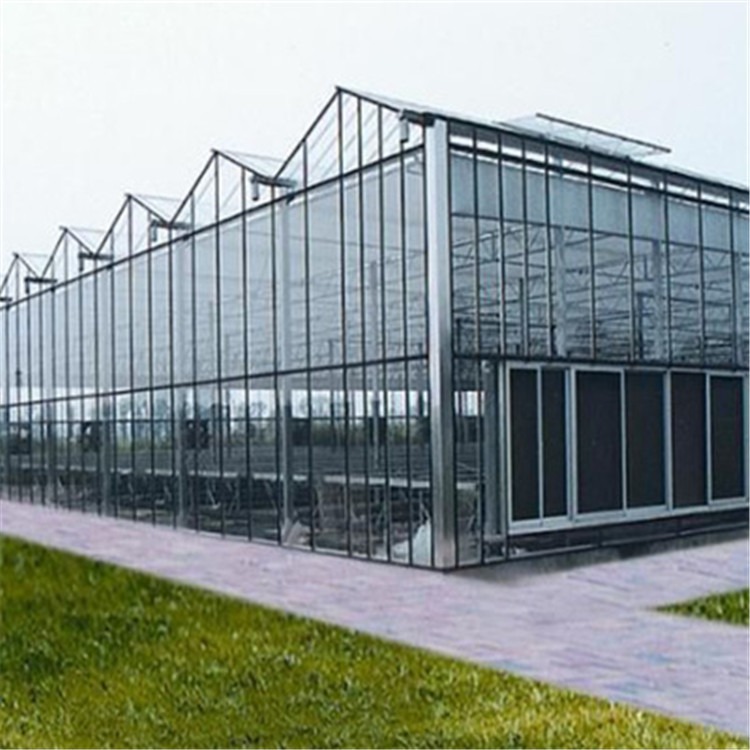 玻璃温室大棚 旭航吉安园林温室玻璃棚厂家