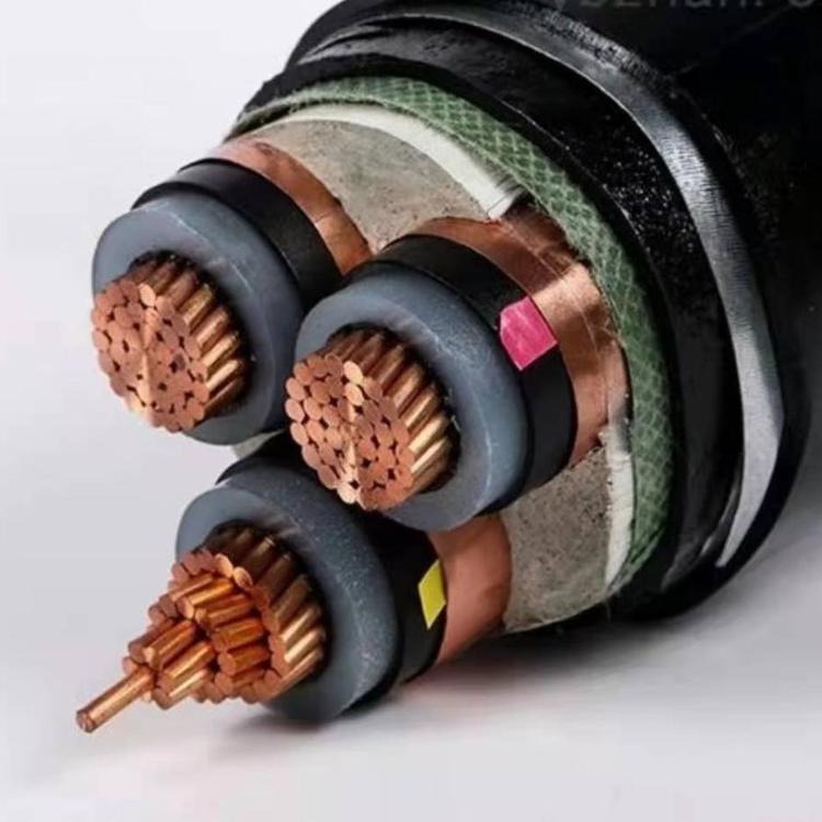 电力电缆 低压铜芯导体钢带铠装电力电缆 YJV22 2x50 0.6/1KV 现货全国包邮图片