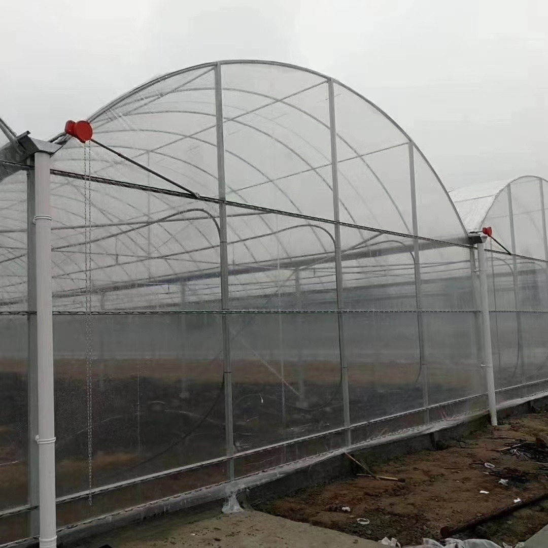安丘厂家设计连栋薄膜大棚 温室花卉连体棚 种植棚 农业蔬菜大棚可定制
