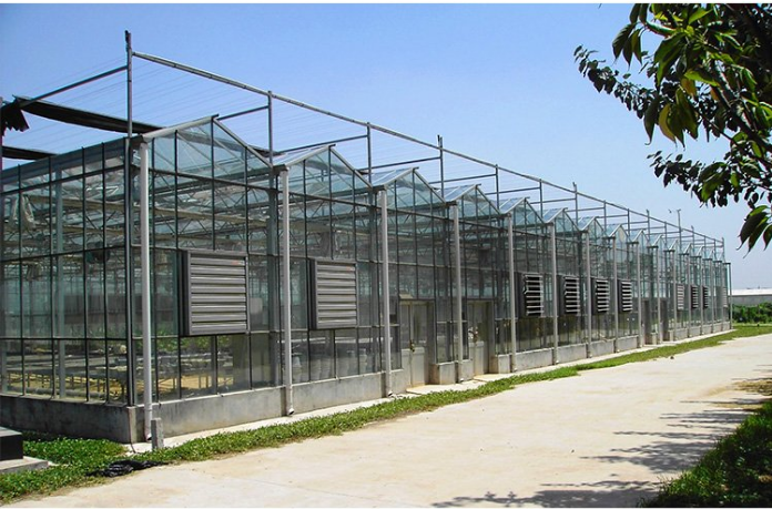蔬菜大棚批发单栋玻璃温室玻璃温室大棚立体无土栽培温室