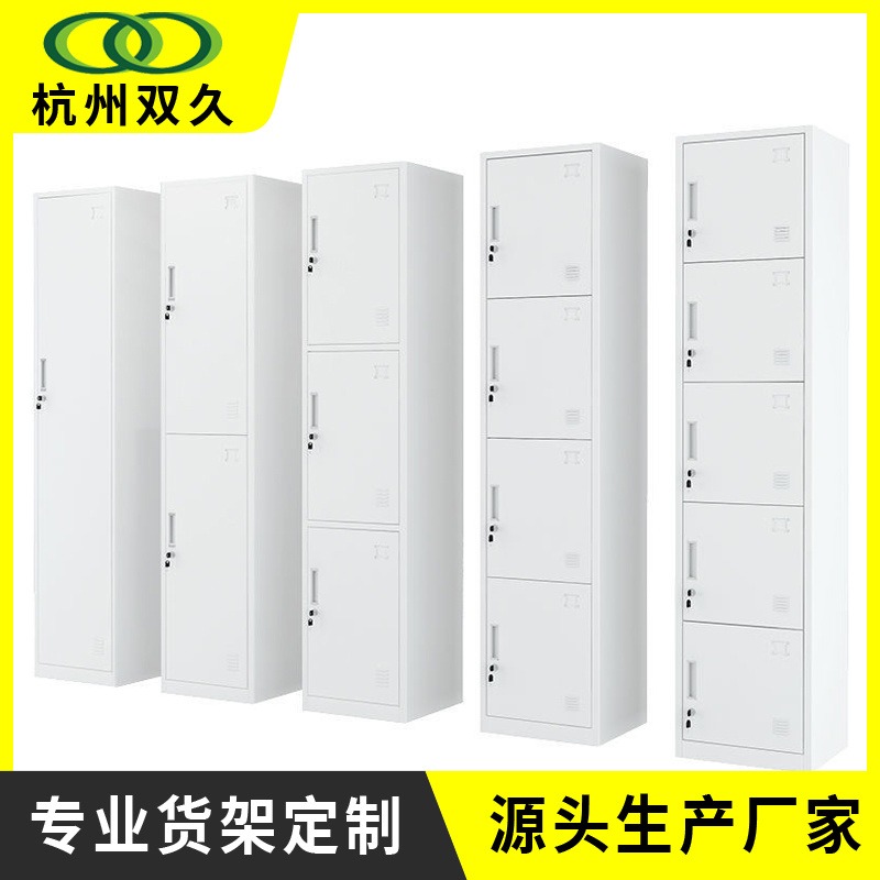 双久不锈钢卫生间储物柜 电子感应锁更衣柜 sj-gyg-149