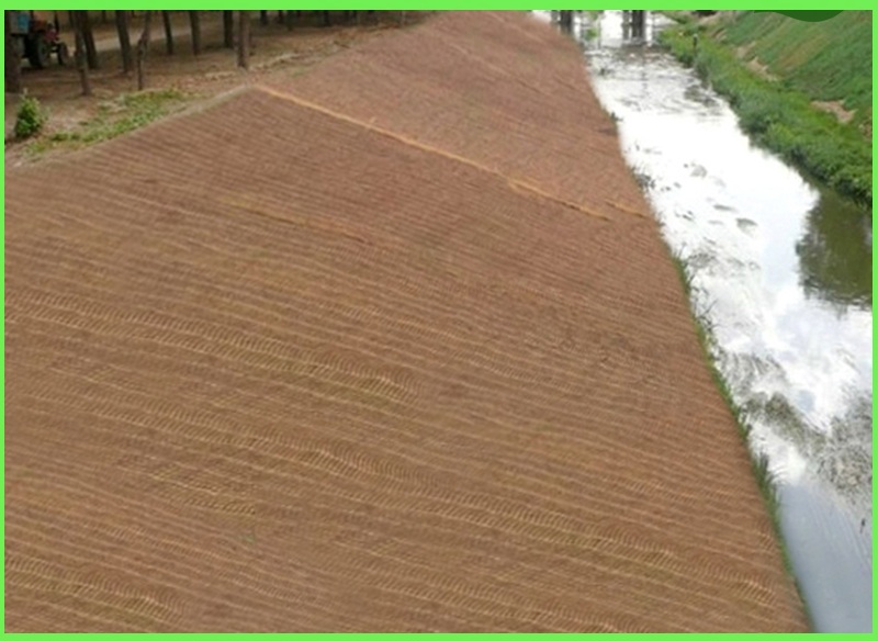 众汇植被恢复绿化椰丝植草毯护坡