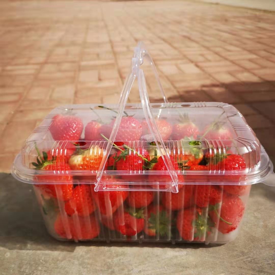 樱桃草莓篮子 一次性透明水果篮子  采摘园专用篮子 超市专用提篮图片