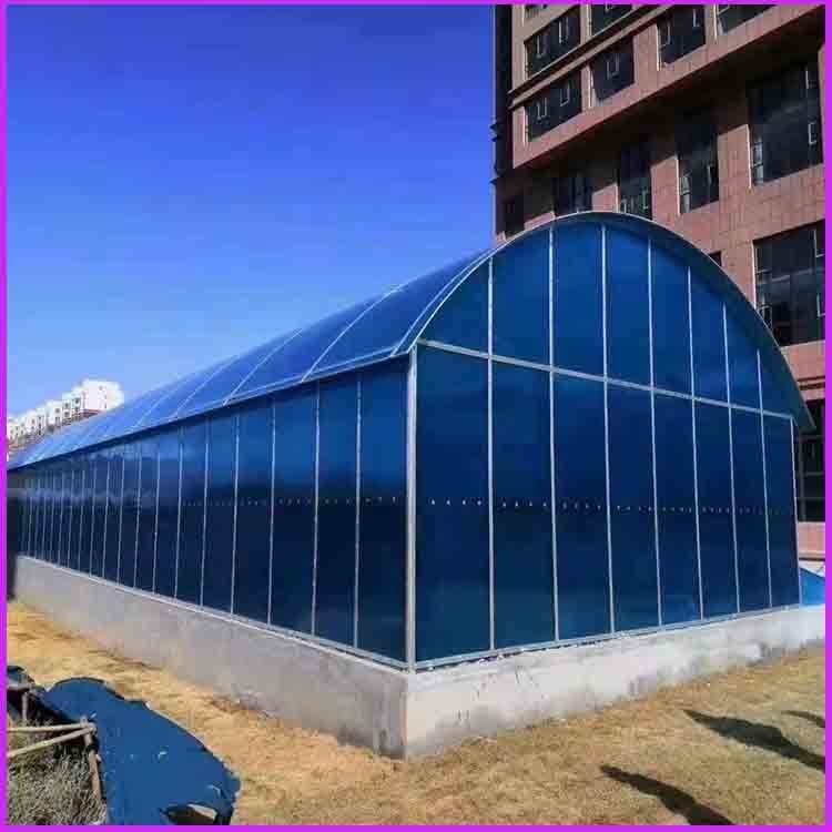 车库口PC阳光板 焦作蓝色10毫米阳光板 聚碳酸酯中空板生产厂家